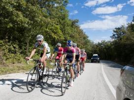 Cro Race