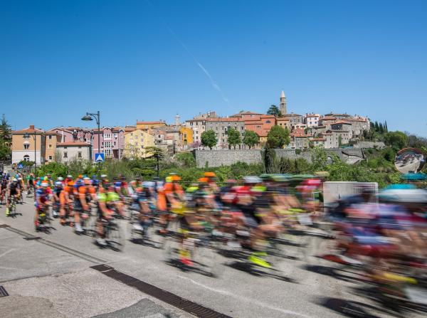 Cro Race