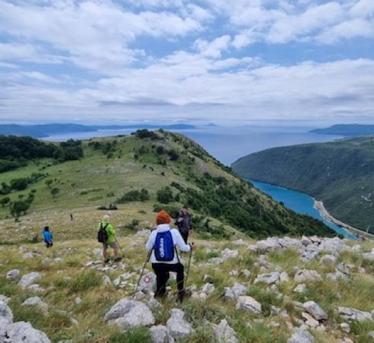 Zvončić zove u Plomin
